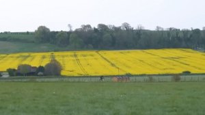 Чем Старше тем Выносливей? Правда ли это? GCN по-русски