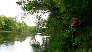 Рыбалка на паук. рыболовный паук из нержавейки.