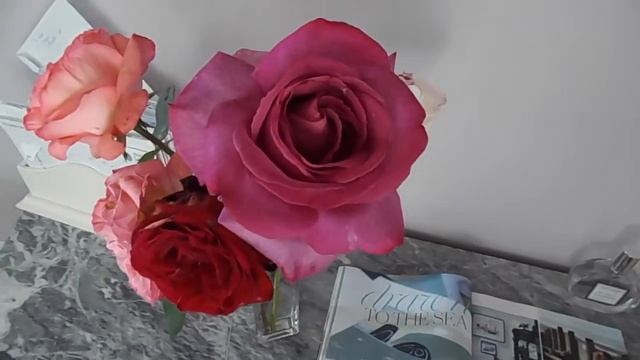 Rose XXL korbilant Kordes Paroles rose смотреть онлайн