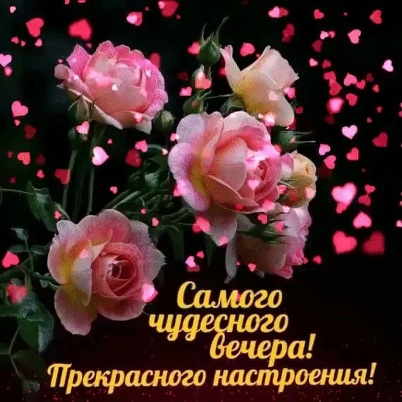 Добрый Вечер!