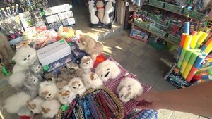 ? Едем на рынок в Небуг. Наши покупки, или обновки для всех.