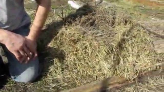 Весеннее мульчирование питательных делянок смотреть онлайн