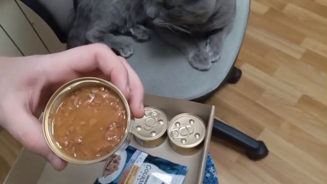 Purina Gourmet Gold - влажный корм для котов .Обзор смотреть онлайн
