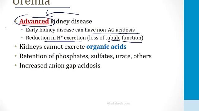 Почки USMLE - 2. Кислотно-щелочной баланс - 6.Метаболический ацидоз (Boards and Beyond)