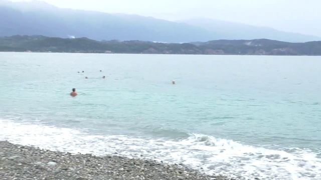 Побережье Пицунда Абхазия смотреть онлайн