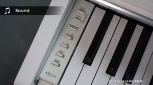 Roland RP-107 vs Kawai KDP-120 vs Yamaha YDP-145 | Digitalpiano.com
