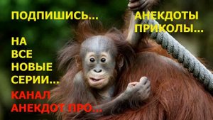 Лучшие анекдоты русский немец американец 2021 - Сборник анекдотов про русского немца и американца