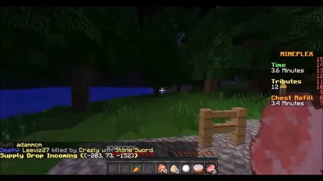 Hunger Games - The Minecraft Geek смотреть онлайн