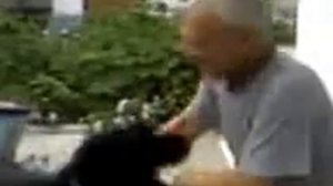 ризеншнауцер с хозяином играет