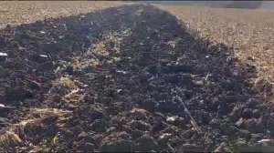 Фермерское хозяйство 900 Га