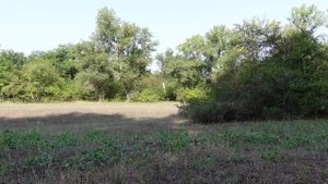 Голоса птиц Пение птиц Как поет чиж