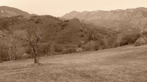 Ahab - Old Thunder Cover