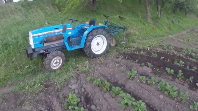 Окучивание: Зачем окучивать картофель? Уход после посадки.