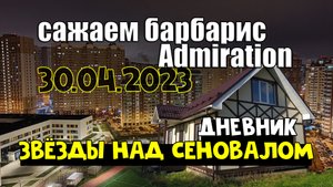Сажаем барбарис Admiration | Дневник ЗНС | Апрель 2023
