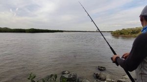 Рыбалка На Флориде В Самый Худший День на Плохую Наживку в Худшее Время и  Погоду!