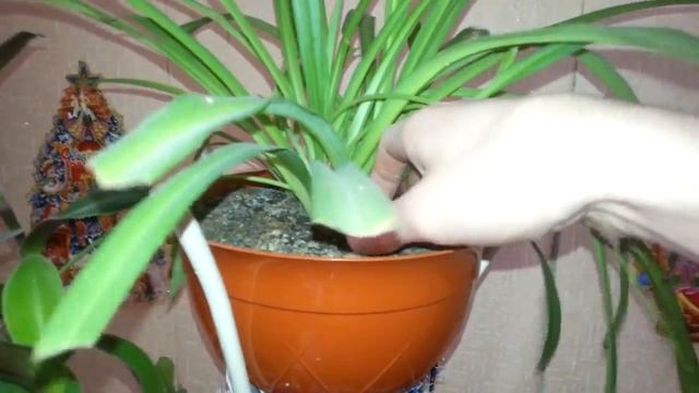 Как мыть раковину смотреть онлайн