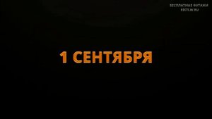 Футажи Школа: 1 Сентября и День Знаний