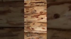 Баня 3х4 и предбанник каркасный 2х3.