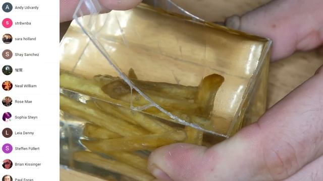 BURGER ? and FRENCH FRIES after 60 days in Epoxy Resin / What Happened??? / RESIN ART