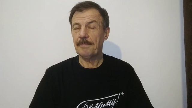 Стальная или кирпичная печь смотреть онлайн