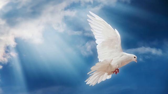 ?‼️?️Чтобы Мой народ выступил в этом сражении, нужны потоки. Близко Пришествие Моё, Я Гряду! Очищу смотреть онлайн