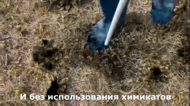 Росомаха -  инструмент для удаления сорняков. #извлекательсорняков