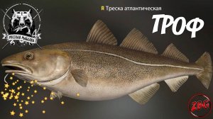 ТРЕСКА - ТРОФ - НОРВЕЖСКОЕ МОРЕ  РУССКАЯ РЫБАЛКА 4 | RUSSIAN FISHING 4 @Z-B-G 