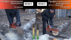ЭПЧ-3 против профессиональной бензопилы. Victar PRO vs professional chainsaw