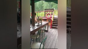 Матушка Земля...
для меня Святая Русь...