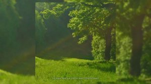 ssshhhiiittt! - лесная братва (speed up)