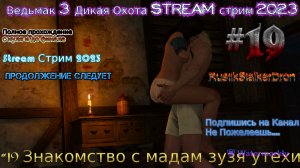 Ведьмак 3 Дикая Охота Stream стрим 2024 Полное прохождение #19 Знакомство с мадам зузя утехи