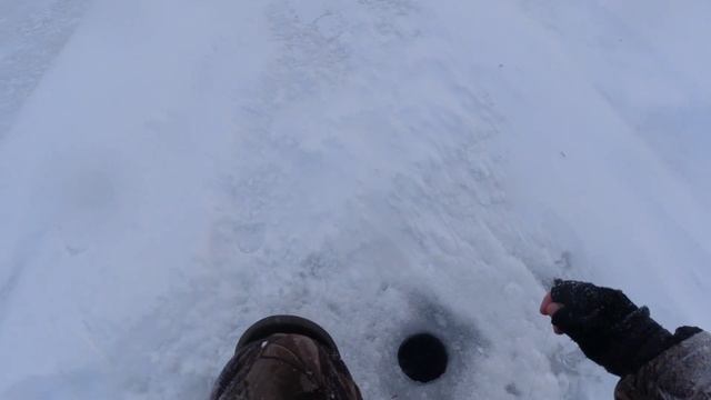 Ловля крупной плотвы в глухозимье .НОВИНКА!