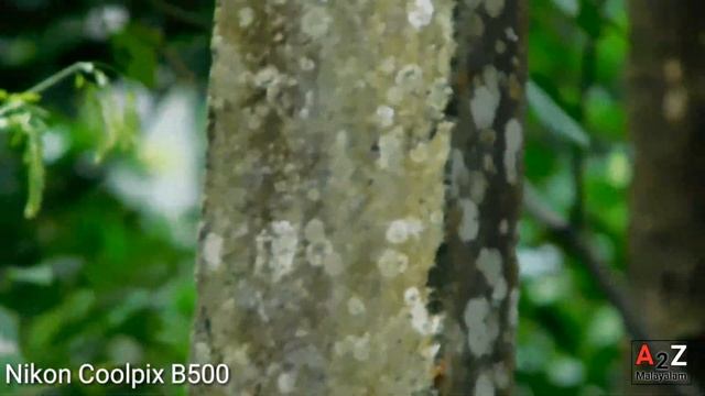 Nikon Coolpix B500 Review - Best Budget Camera | അങ്ങനെ ഒരു ക്യാമറ വാങ്ങി!! || A2Z Malayalam смотреть онлайн