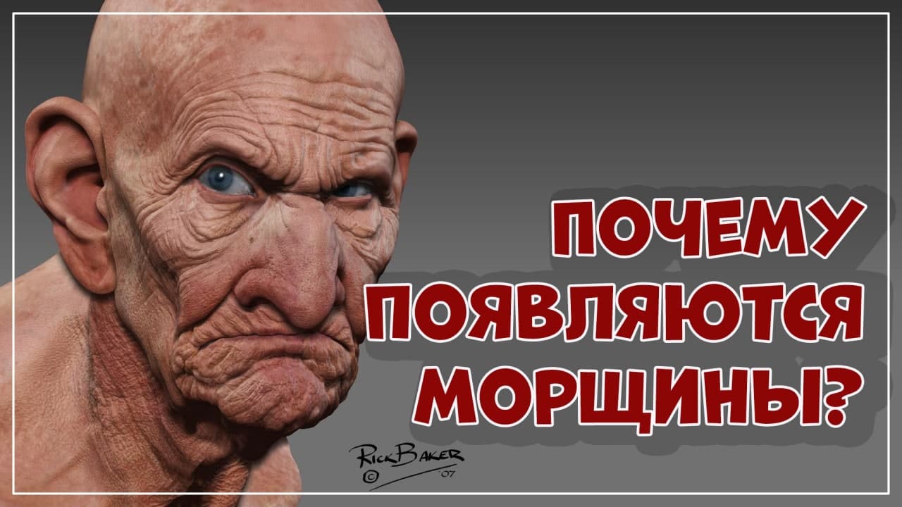 Почему морщины вообще появляются.