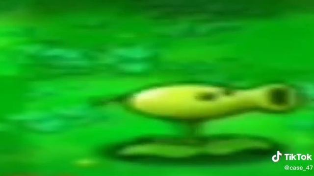 Долбонутый горох жёстко флексит под Моргешкека смотреть онлайн