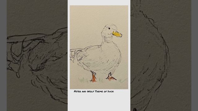 Drawing a Duck Sergei Prokofiev Peter and the Wolf