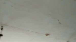 Прогулка по зданию начальной школы номер 2 города Лукоянова. 13.07.2019г.