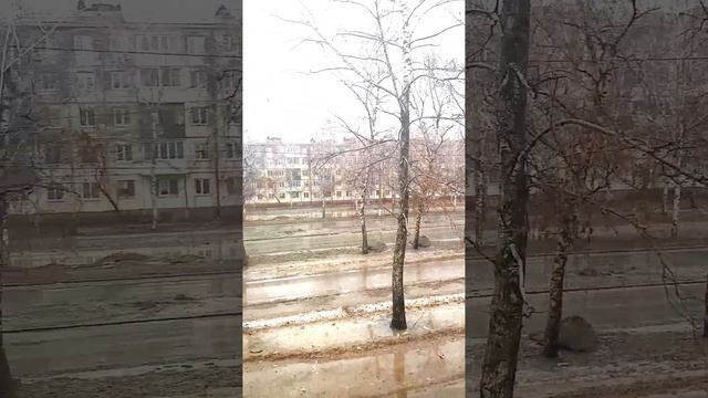 56.г.Тольятти 13.03.2023. смотреть онлайн