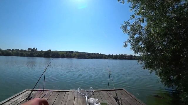 Ловля карпов летом - карп дуреет от самодельной каши