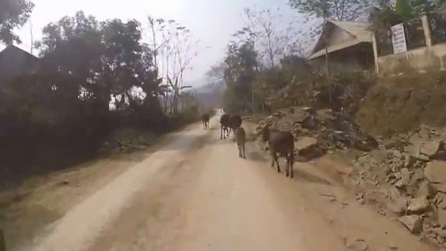 3 месяца в пути "Я гражданин мира" - Hitchhiking VS Motobike в Юго Восточной Aзии смотреть онлайн