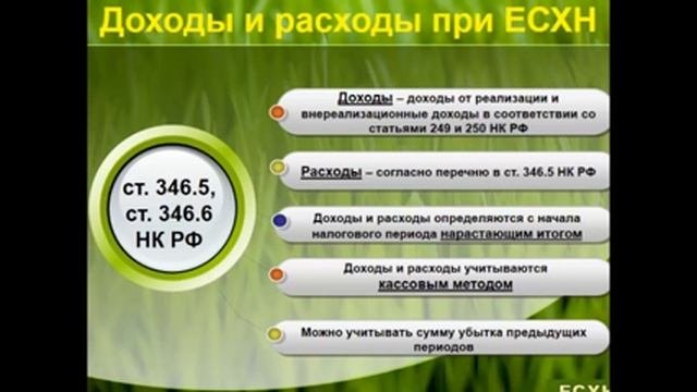 Расчет и уплата ЕСХН
