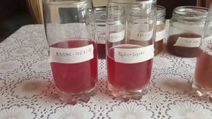 Народные методы лечения печени.8 натур печени (по Авиценне). Грелка на печень ,когда нельзя.Пиявки.