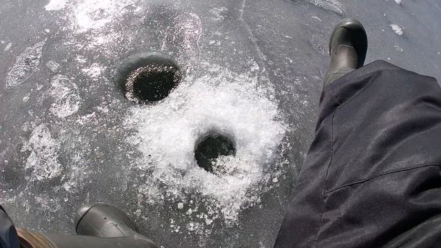 Белоярское водохранилище (Первая заводь).Чебак порадовал.