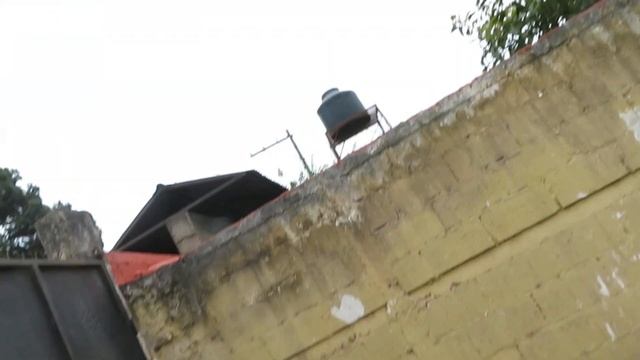 My 22 month old White Doberman, Most. смотреть онлайн