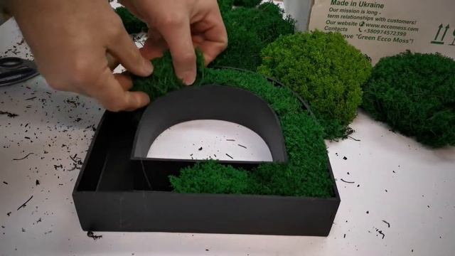 Стабилизированный мох в интерьере с контражурной подсветкой.