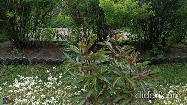 Вспоминаем лето... Ч.3 смотреть онлайн