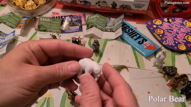 KINDER JOY National Park Foundation Eggs