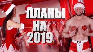 Новогодние приколы 2019 Мои планы на Новый Год