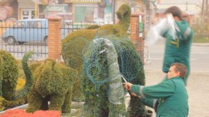 How to make topiary? Каркас для топиари,  каркас слона