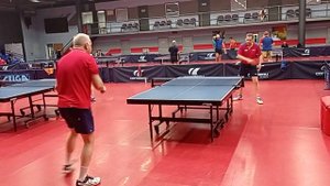 длинные шипы Yinhe 955 ox на основании Yinhe J-1 (Андрианов - Бахметьев)